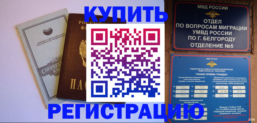 временная прописка в Курганинске